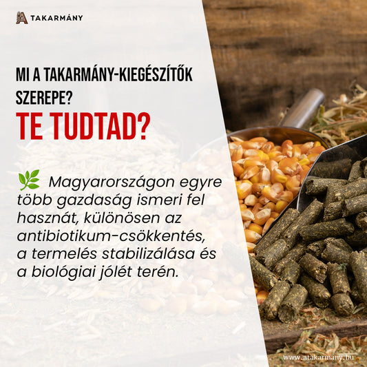 🌿 Takarmány-kiegészítők szerepe az állattartásban – Mit és miért adunk?