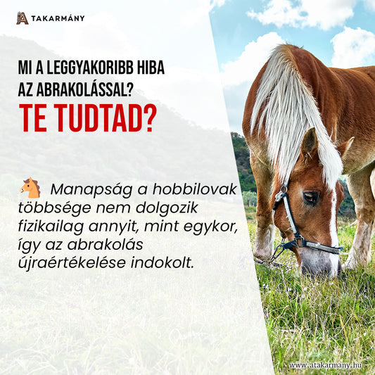 🐎 Kell-e abrak a lónak?