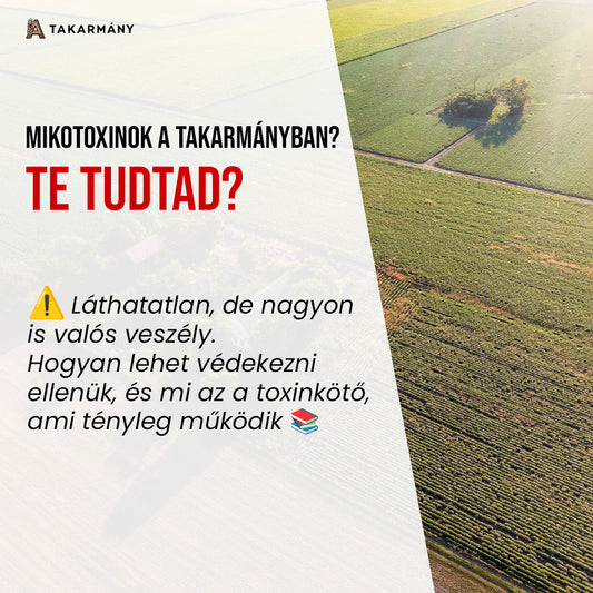 ⚠️ Mikotoxinok a takarmányban