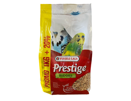 Prestige Budgies