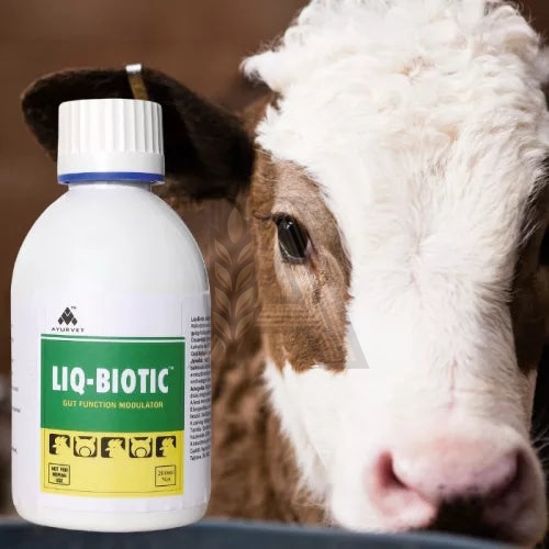 Liq-Biotic - Természetes védelem a hasmenés ellen