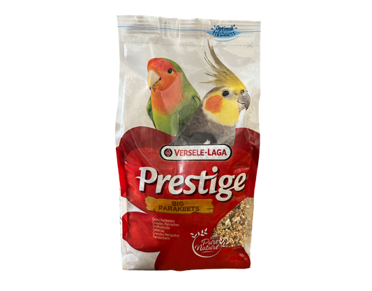 Prestige Big Parakeets