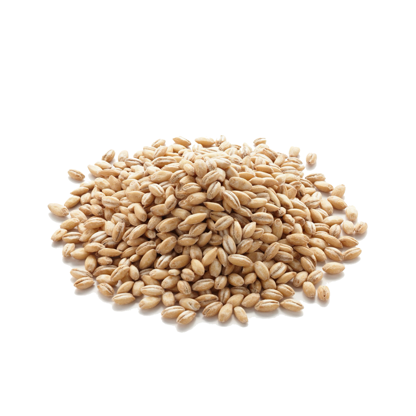 Búza