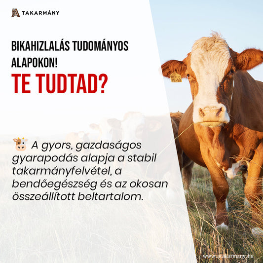 🐂 Bikahizlalás tudományos alapokon? - Te tudtad?