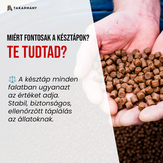 🌾 Miért ilyen fontosak a késztápok? – Te tudtad?