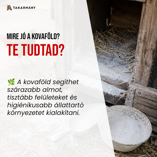 🌿 Mire jó a kovaföld? - Te tudtad?