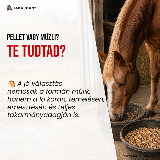 🐴 Pellet vagy müzli? - Te tudtad?