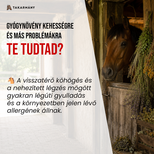 🌿 Gyógynövény kehességre és más problémákra - Te tudtad?