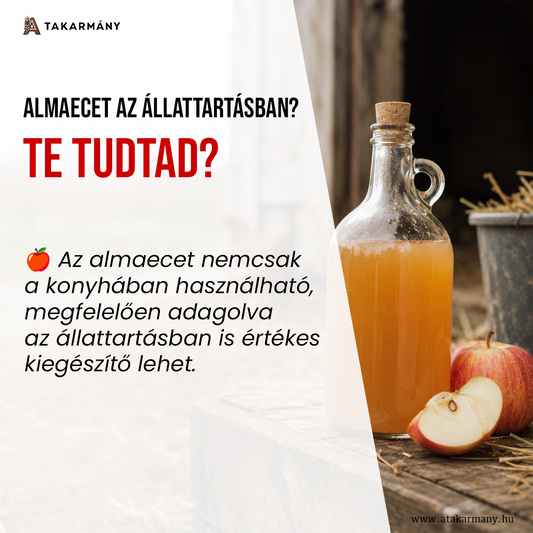🍎 Almaecet az állattartásban? – Te tudtad?