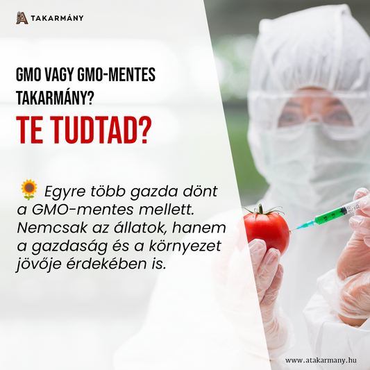 🌽 GMO vagy GMO-mentes takarmány? - Te tudtad?