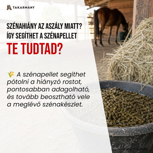 🌾 Szénahiány az aszály miatt? Így segíthet a szénapellet - Te tudtad?