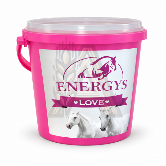 Energys LOVE - Szív alakú jutalomfalat lovaknak