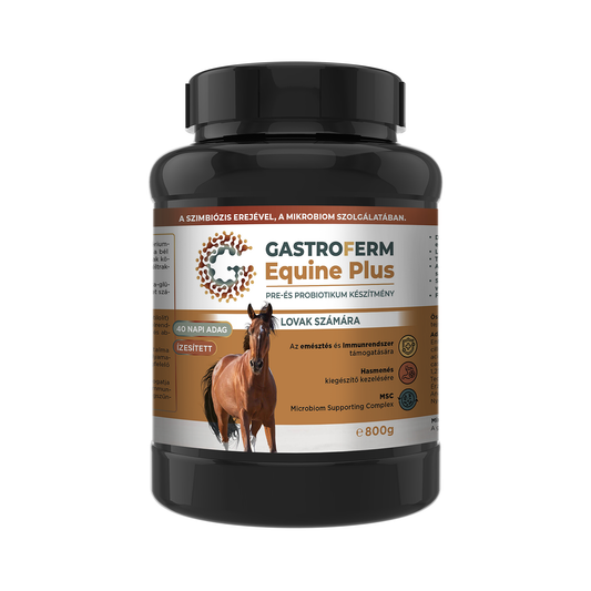 Gastroferm Equine Plus