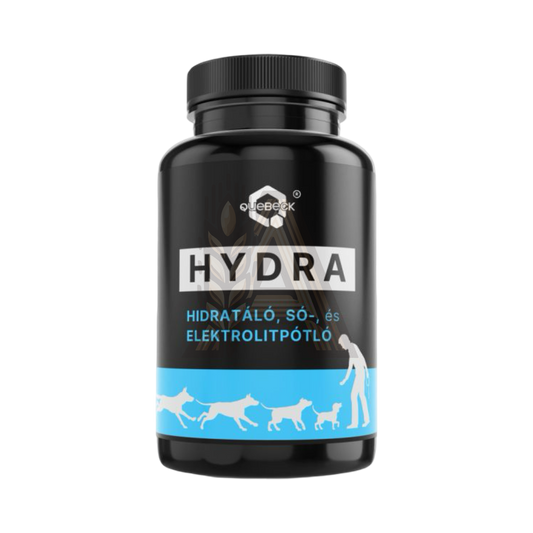 HYDRA - hidrátáló-, sópótló-, elektrolitpótló por