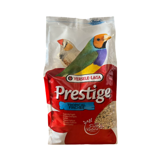 Prestige Tropical Finches - Prémium alapeleség trópusi pintyek számára