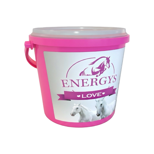 Energys LOVE - SZÍV ALAKÚ FINOMSÁGOK LOVAK SZÁMÁRA