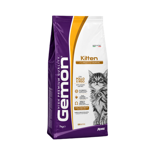 Gemon Kitten - kölyök cicáknak
