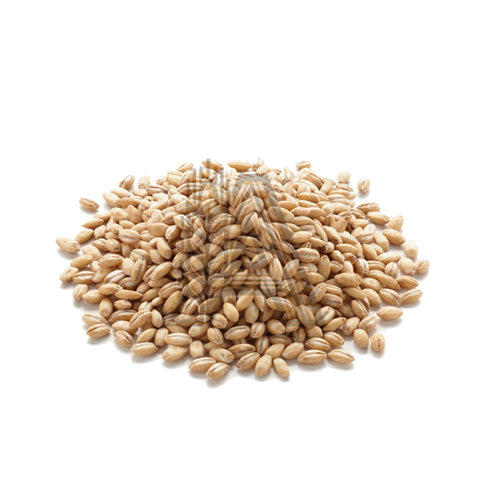 Búza