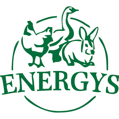 Energys