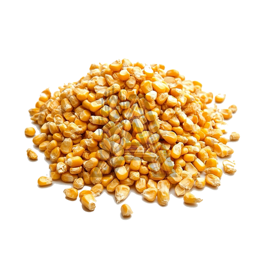 Kukorica